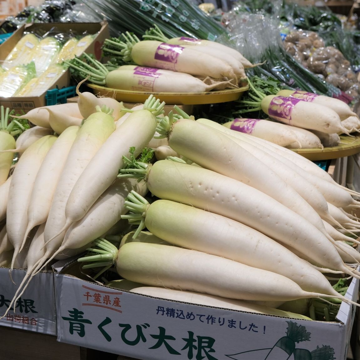 【堺北花田】今日は林田商店さんの市場まつりの日｜青果売場から