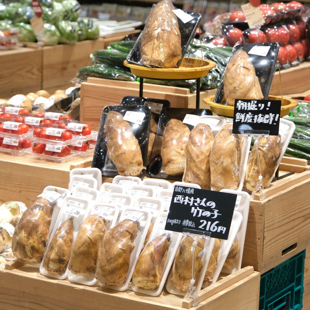 【堺北花田】西村さんの朝堀り竹の子が入荷しました｜青果売場から