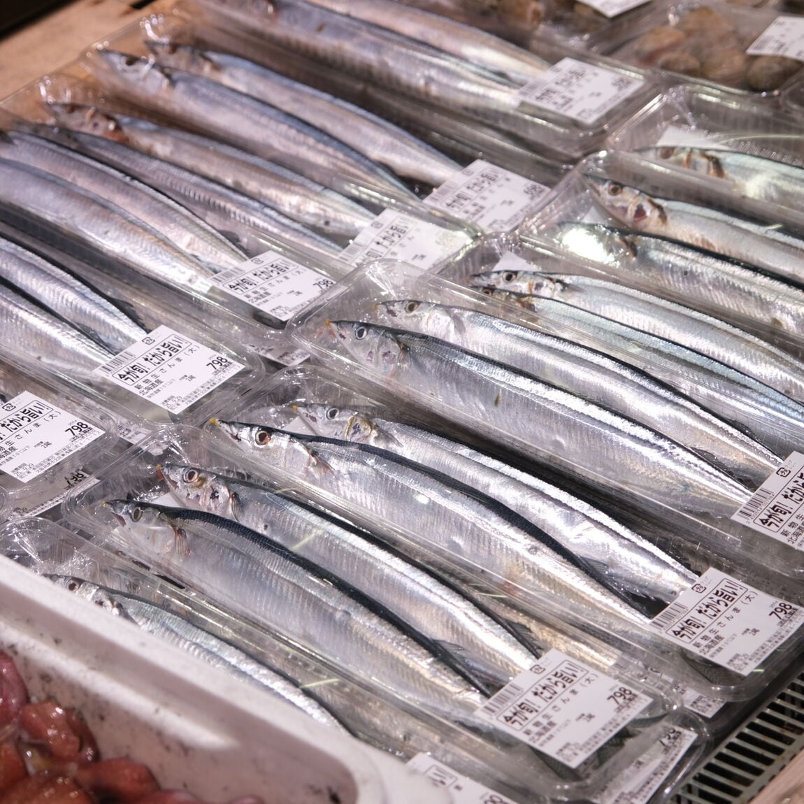 【堺北花田】今日のおすすめ『剣先イカ』｜鮮魚売場から