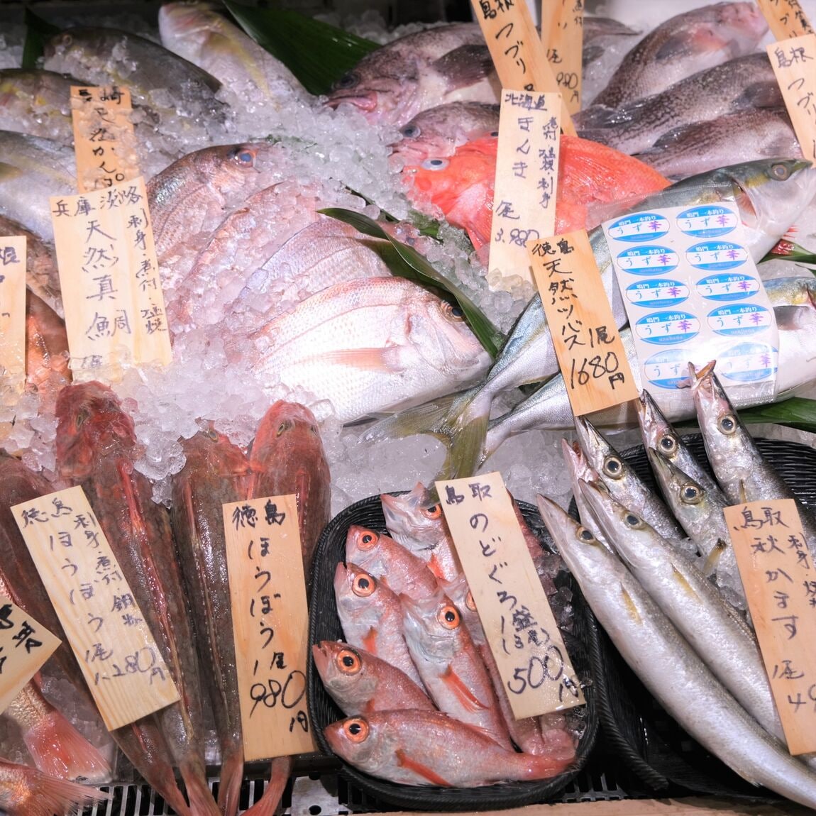 【堺北花田】今日のおすすめ『剣先イカ』｜鮮魚売場から