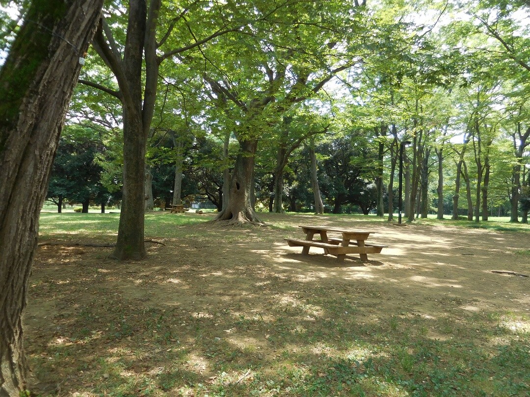 代々木公園