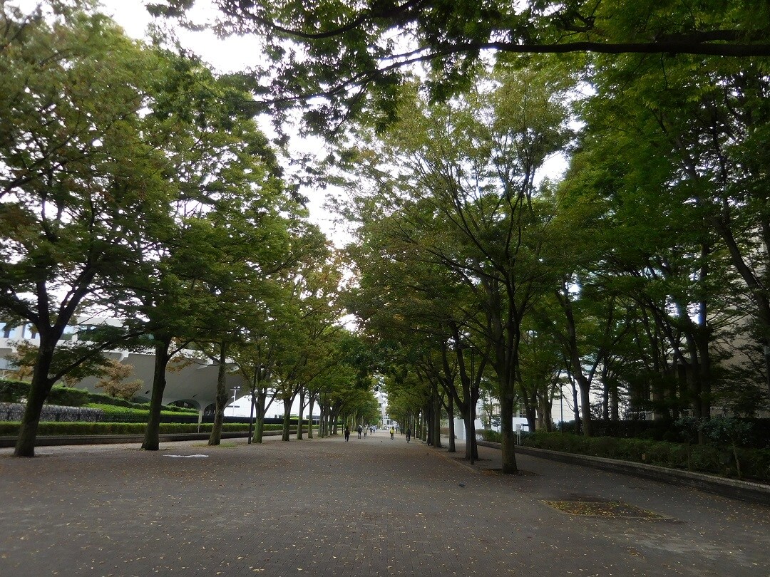代々木公園