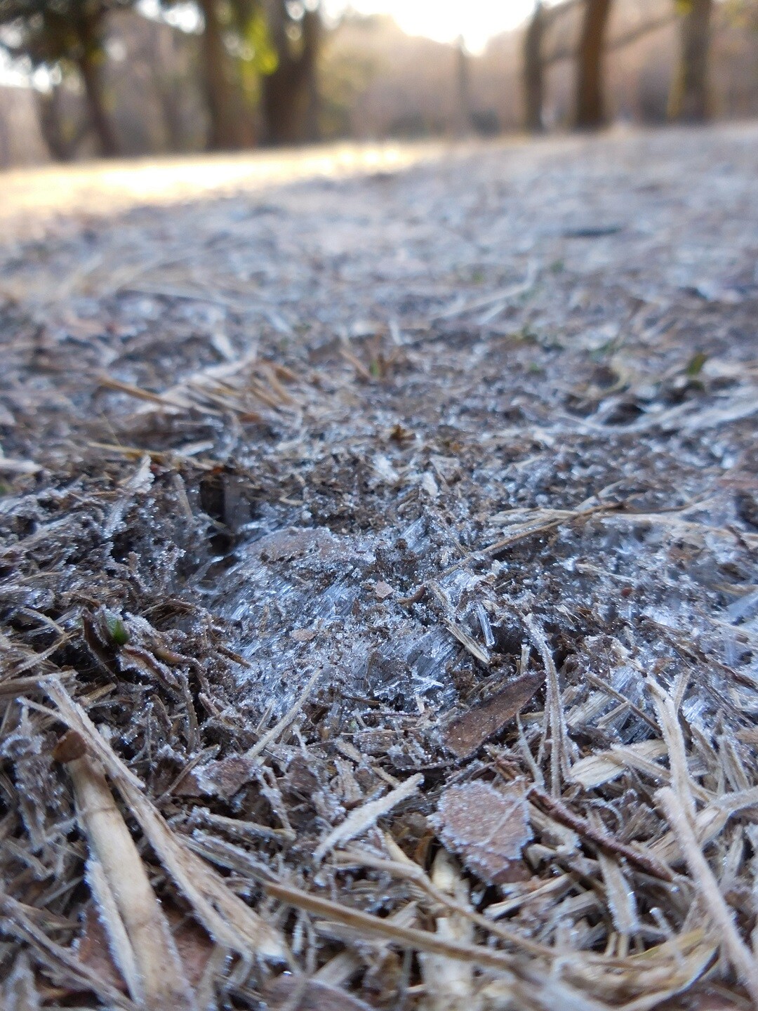 代々木公園