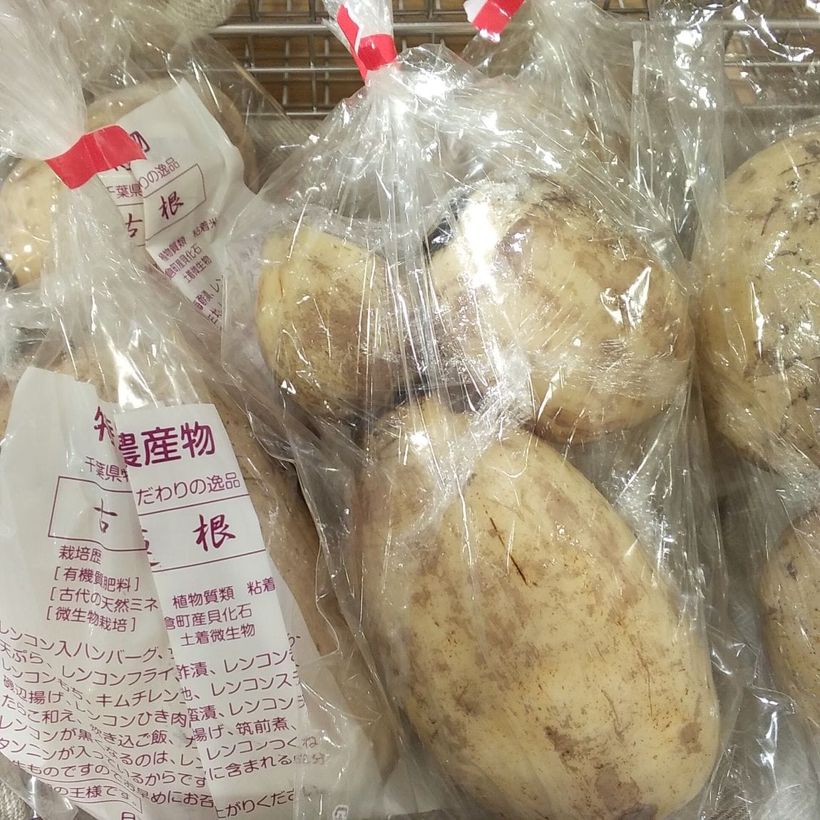 蓮根