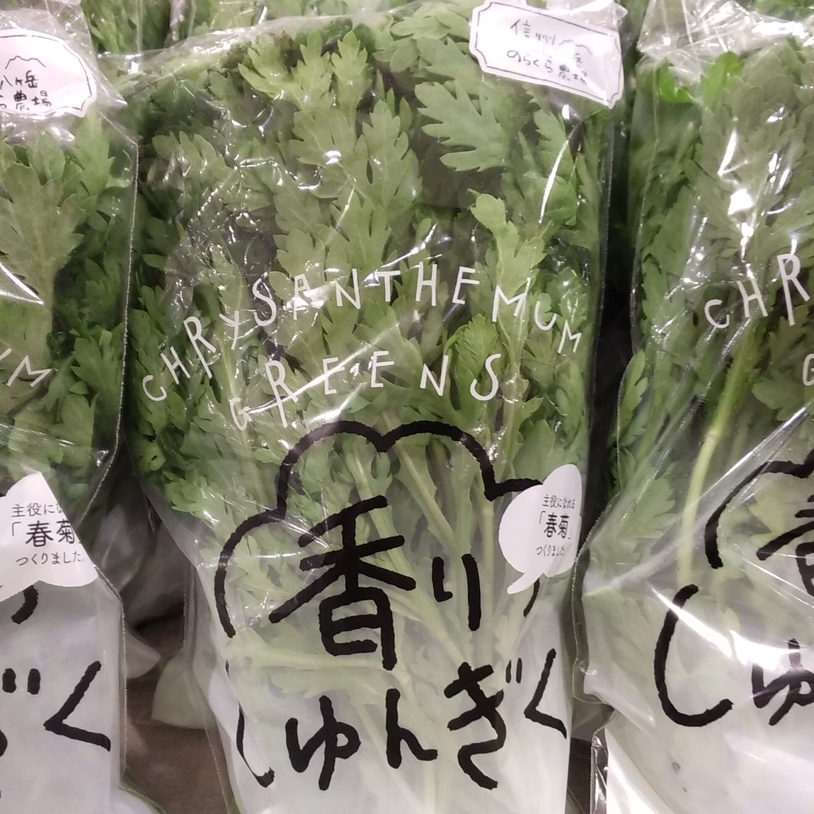 春菊