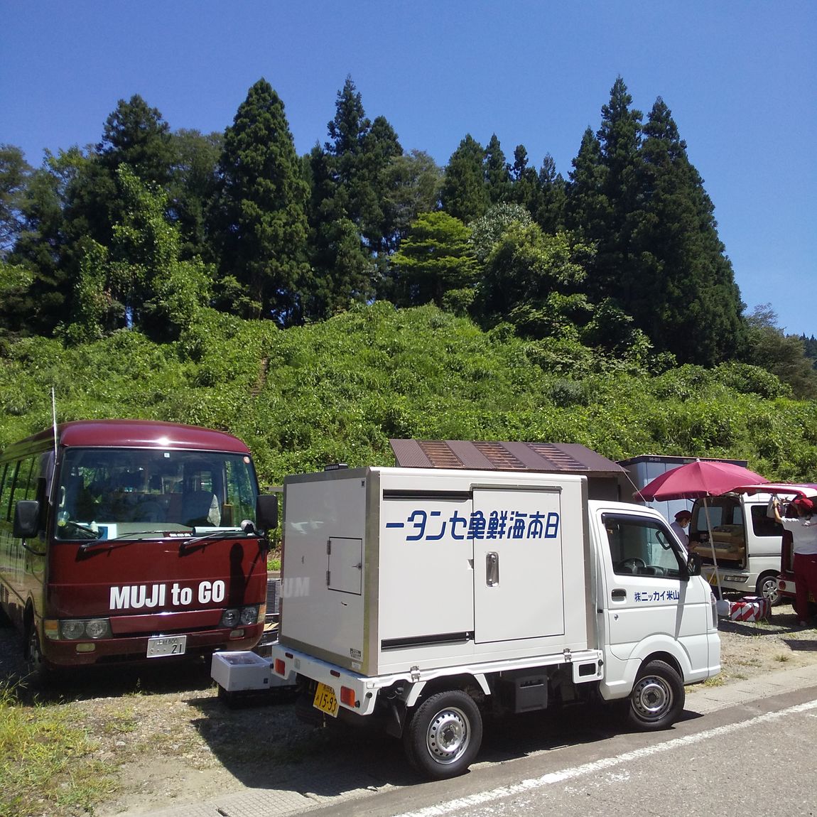バス