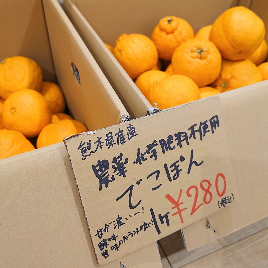 でこぽん