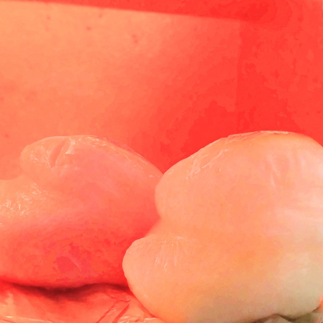 【イオンモール鈴鹿】お正月にむけて｜紅白まる餅