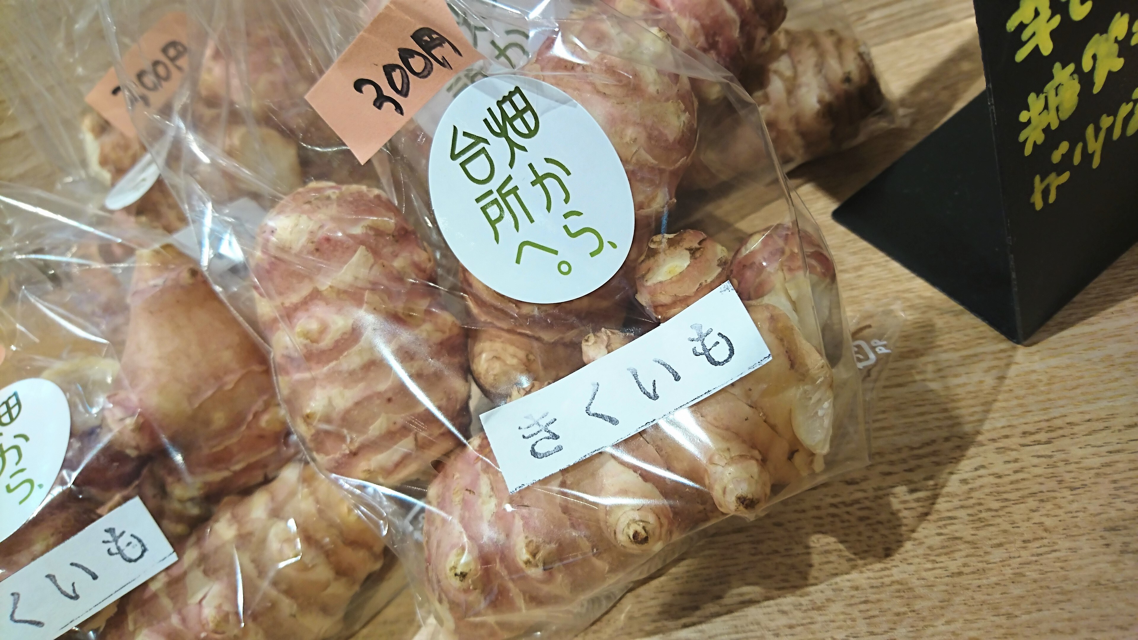 kikuimo2