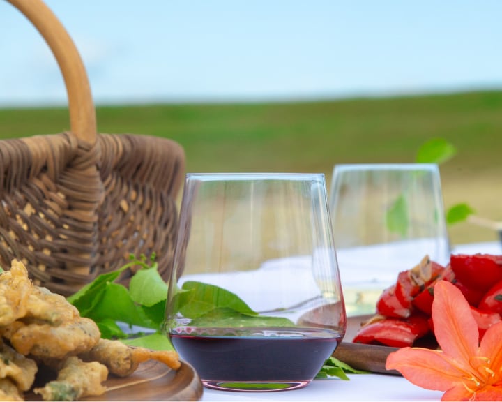 ワインイベント「Festa do Vinho no Campo（フェスタ・ド・ヴィーニョ・ノ・カンポ）～草原でポルトガルワインに出会う～」_OA6mR9
