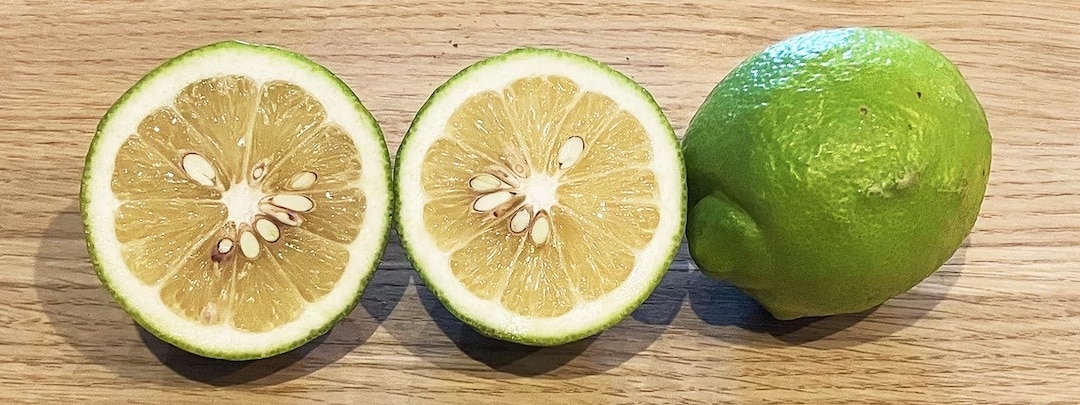 02-2