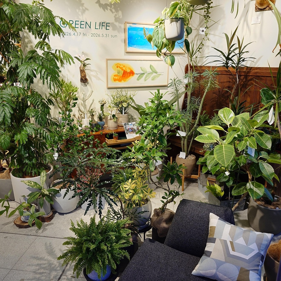 GREEN LIFE