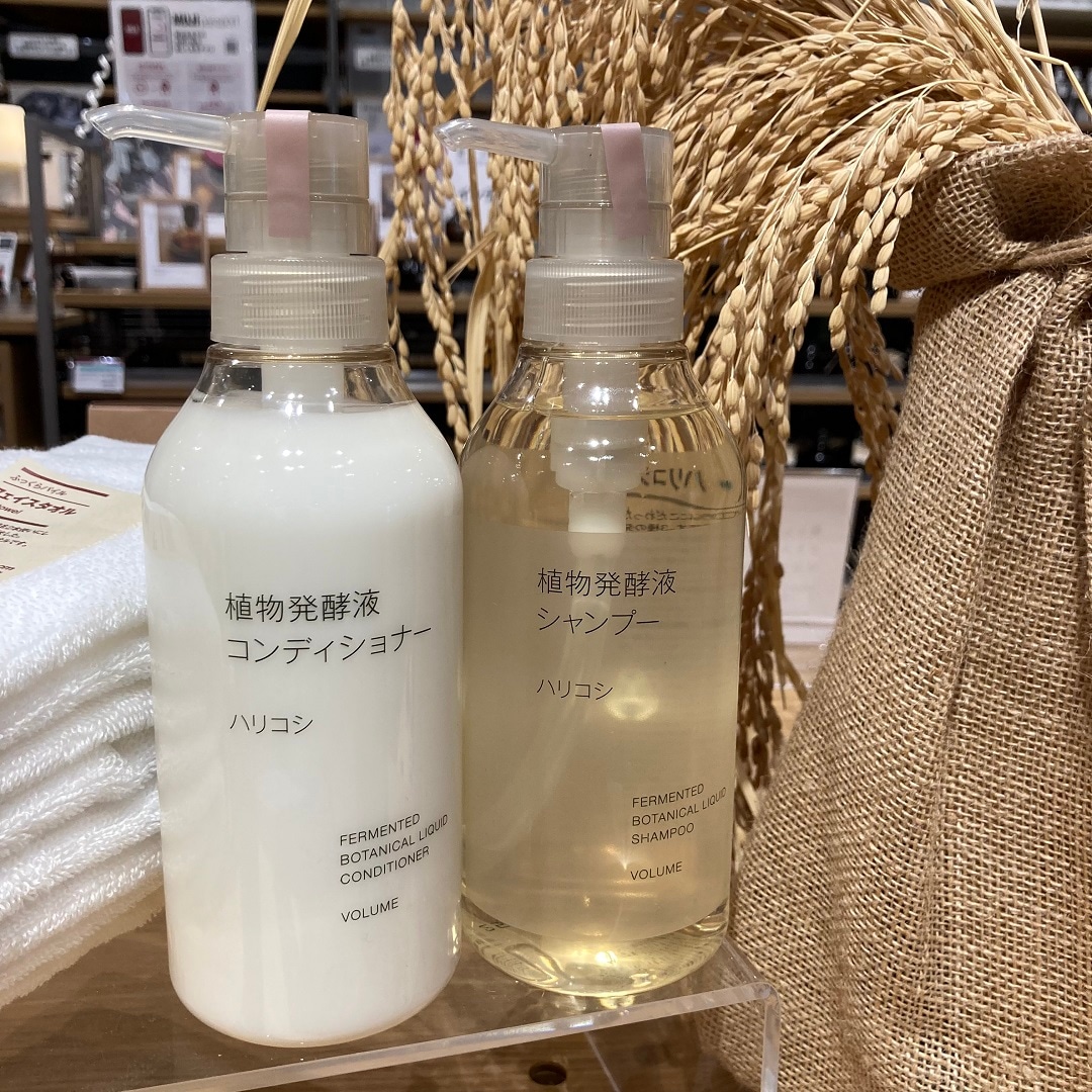ハリコシの写真