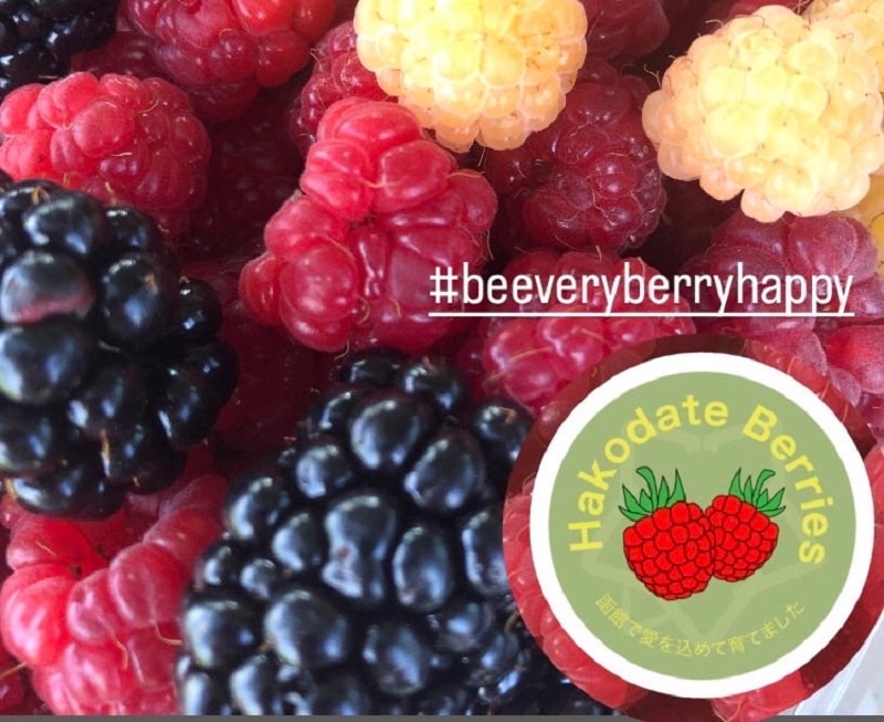 【シエスタハコダテ】『第71回 函館つながる市 ～Xmas編～』1日目の出店者さまを紹介します