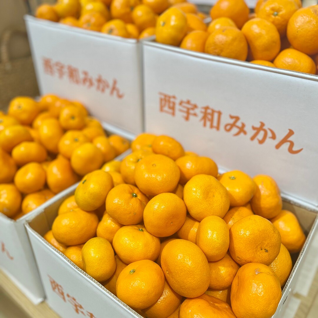 イオンモール高崎