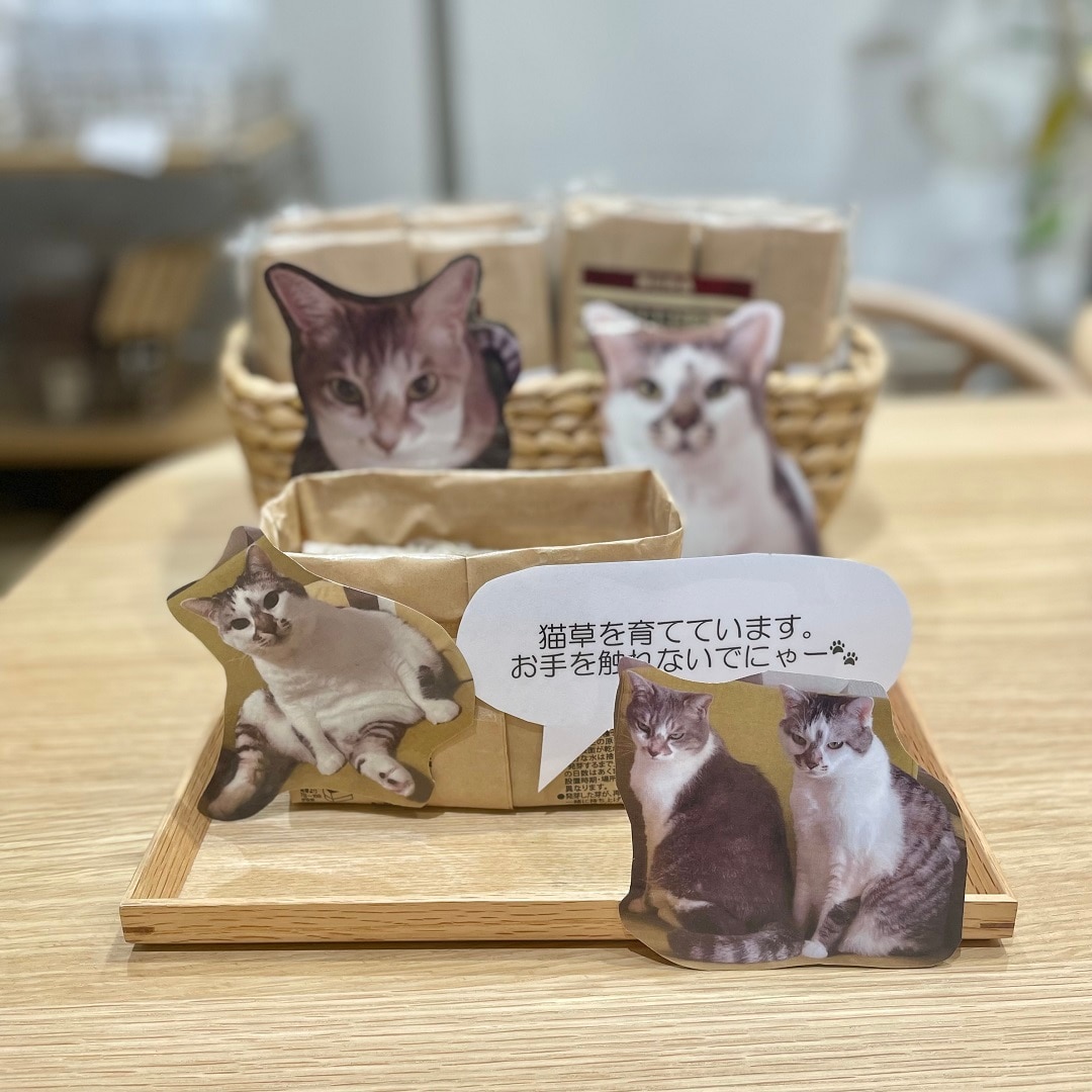 イオンモール高崎