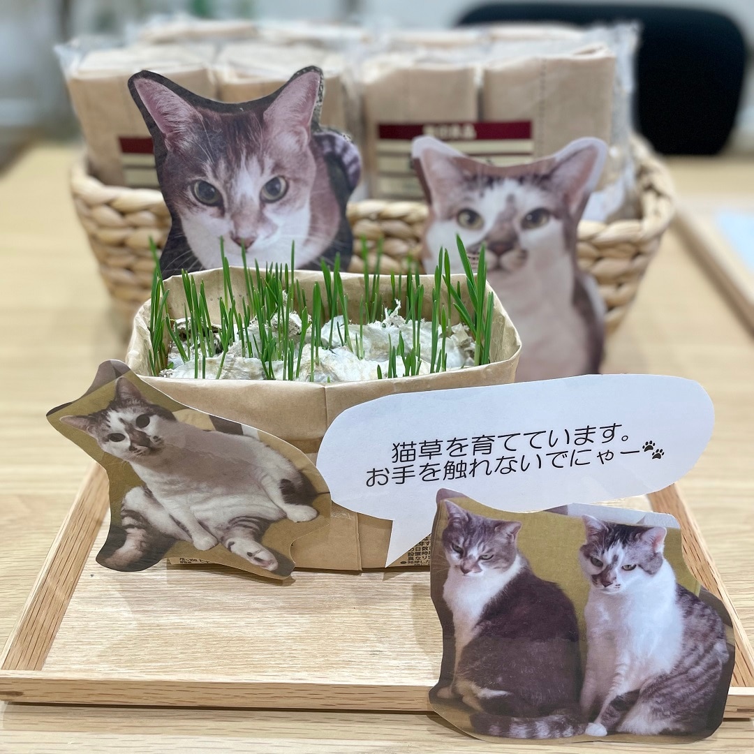 イオンモール高崎