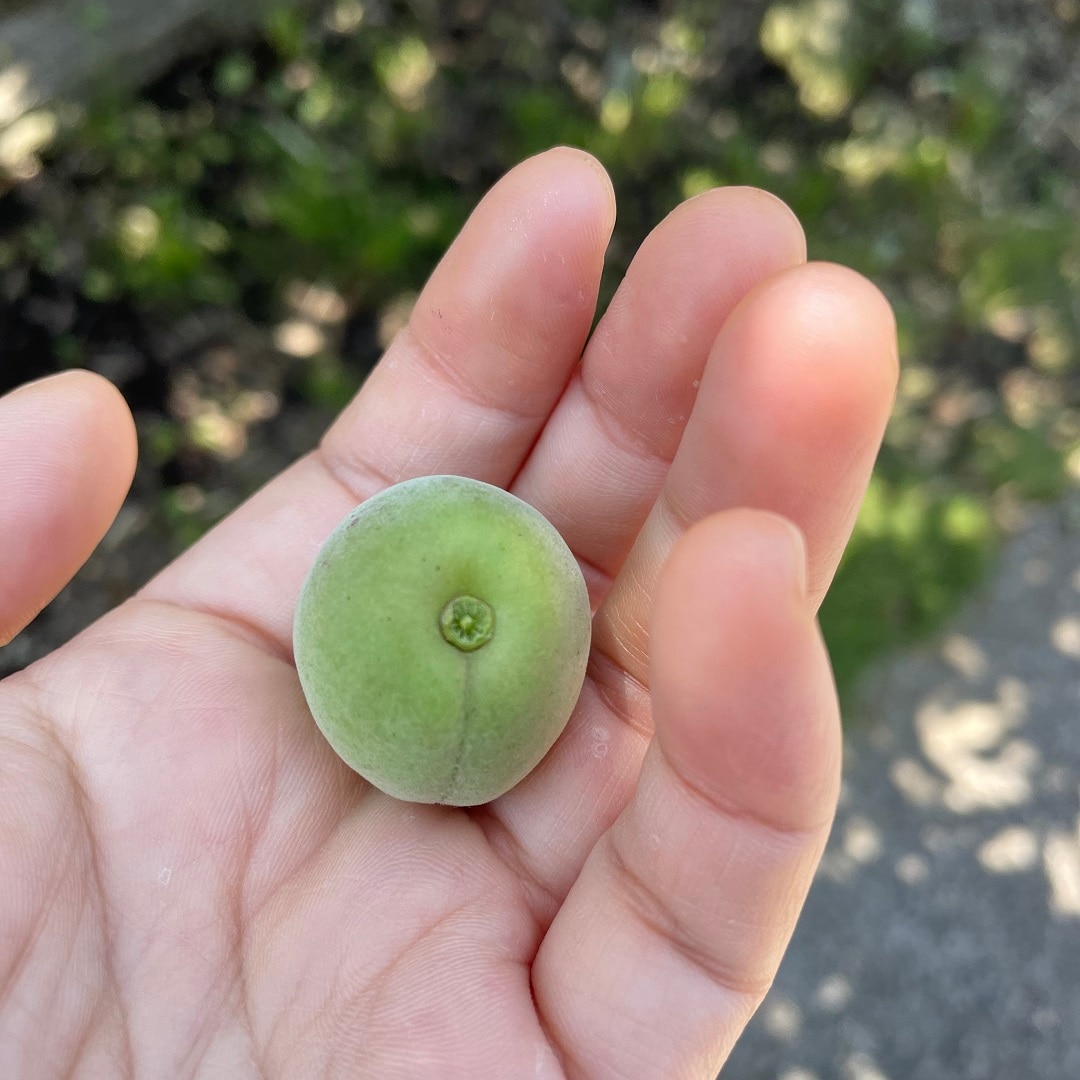 イオンモール高崎