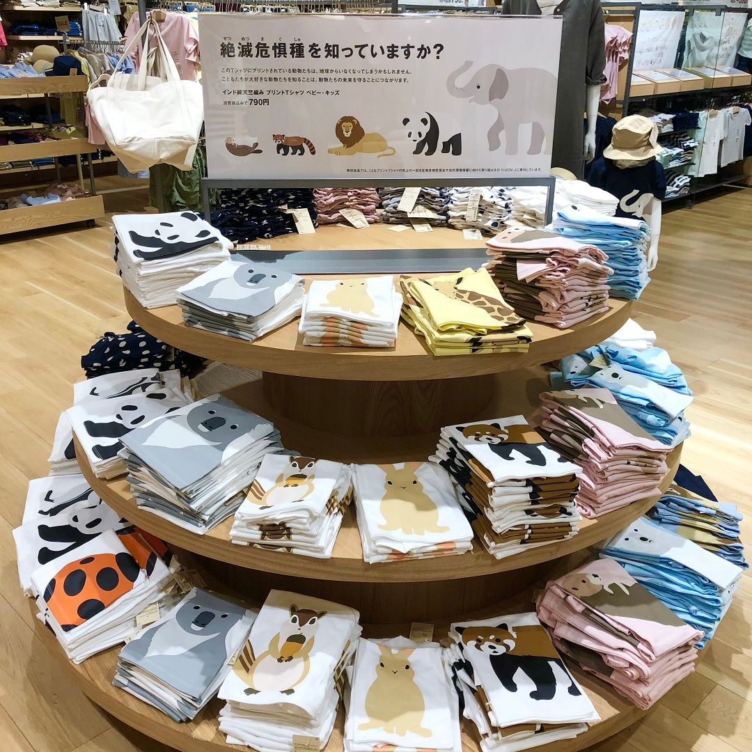 動物Ｔ