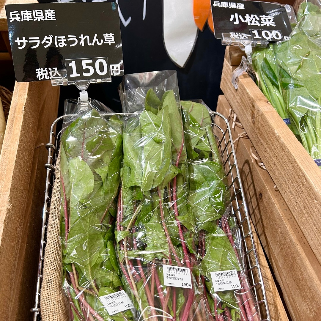 サラダほうれん草