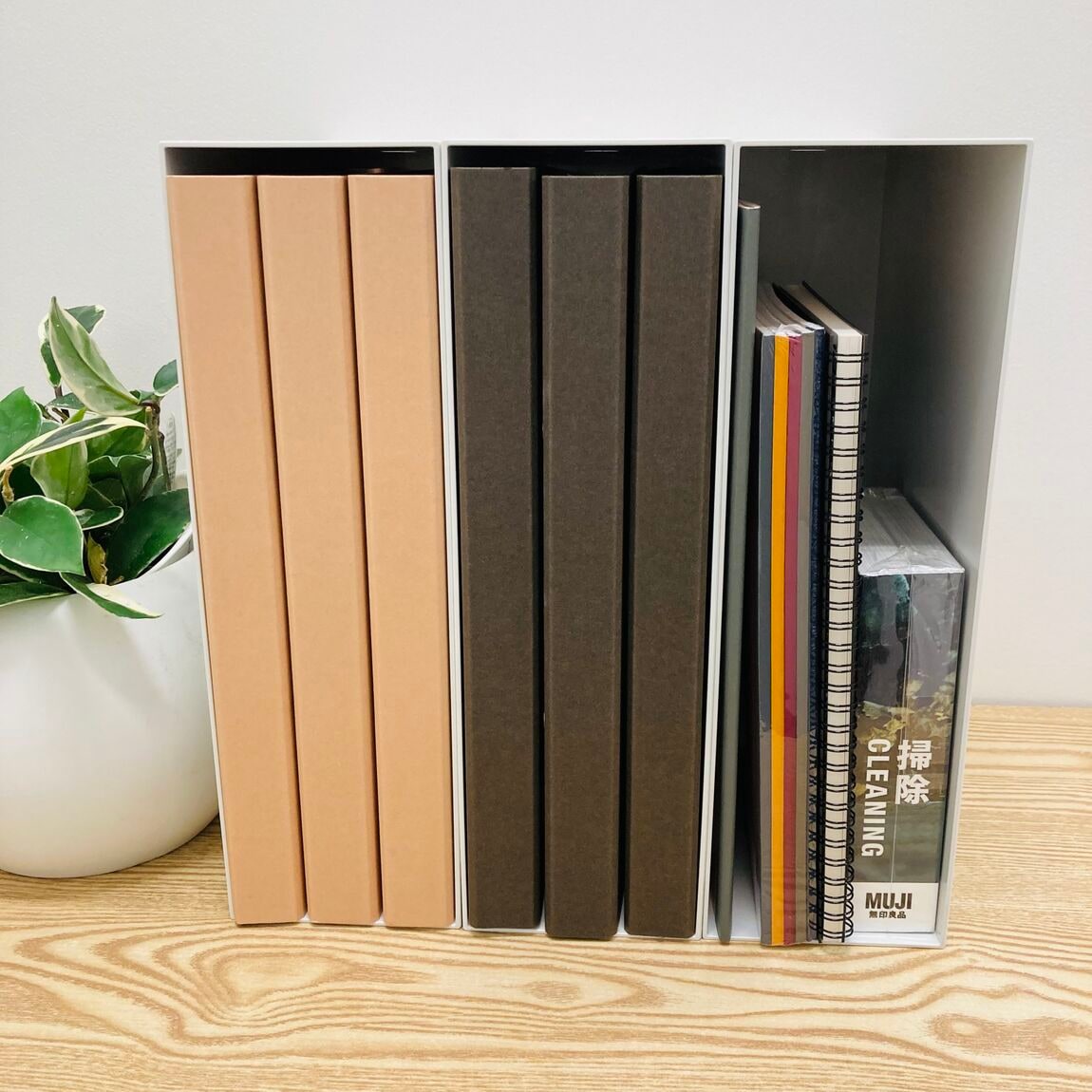 【ゆめシティ新下関】ファイルボックス