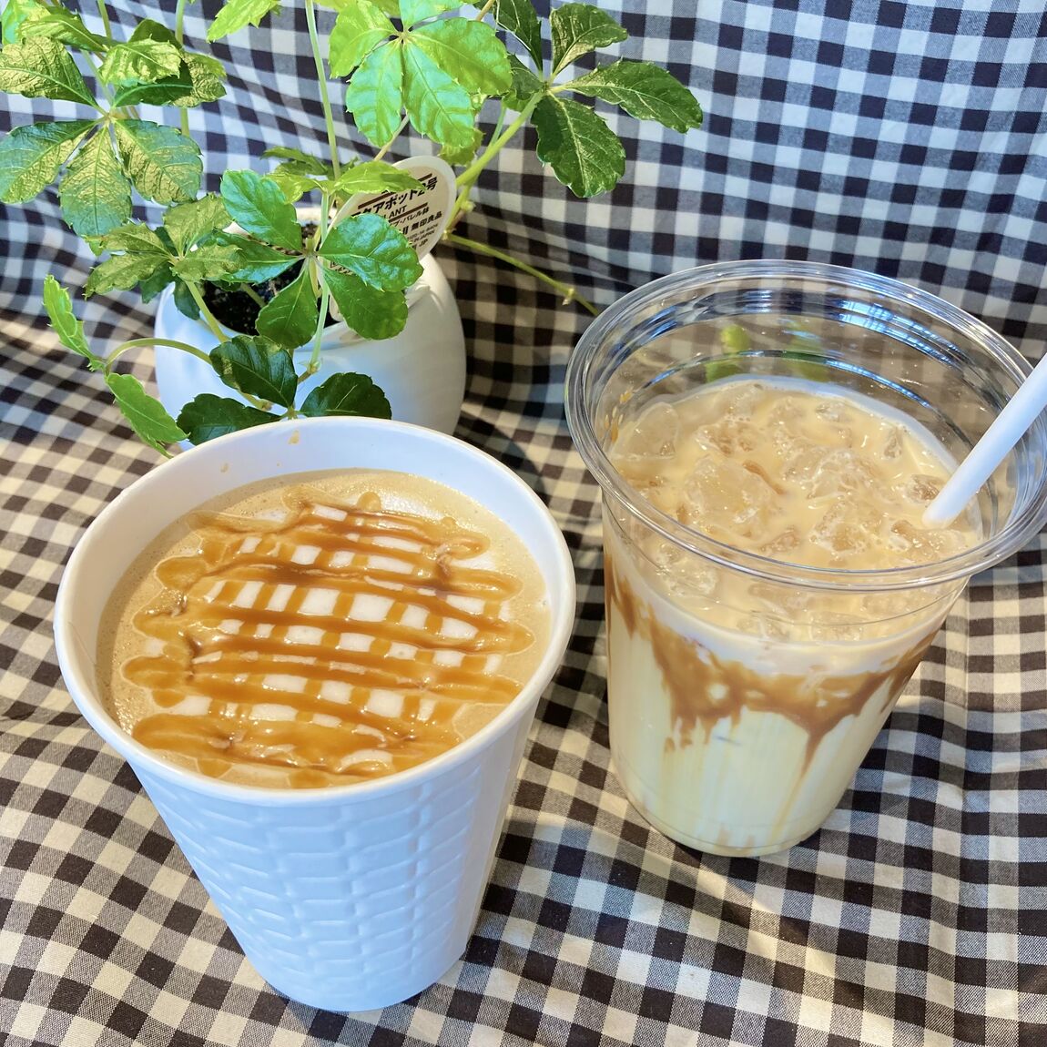 【つくば並木】コーヒー&アイススタンド｜秋のおすすめドリンク｜キャラメルラテのご紹介_M0Vcb5