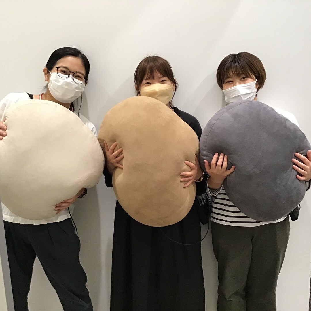 マルチクッション３カラー画像