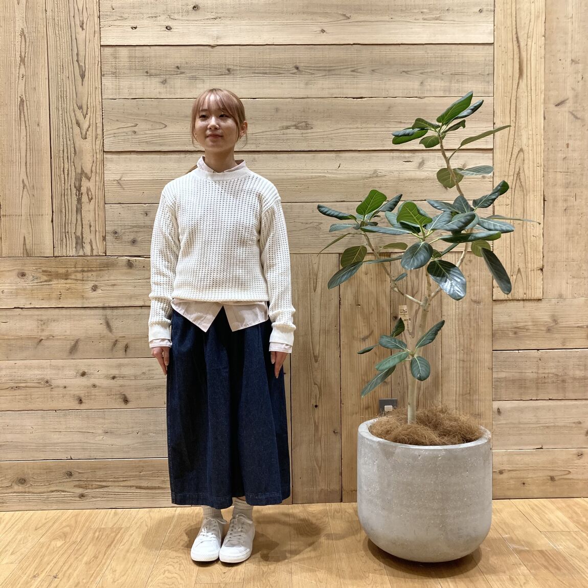 羽咋宝達志水　メッシュ