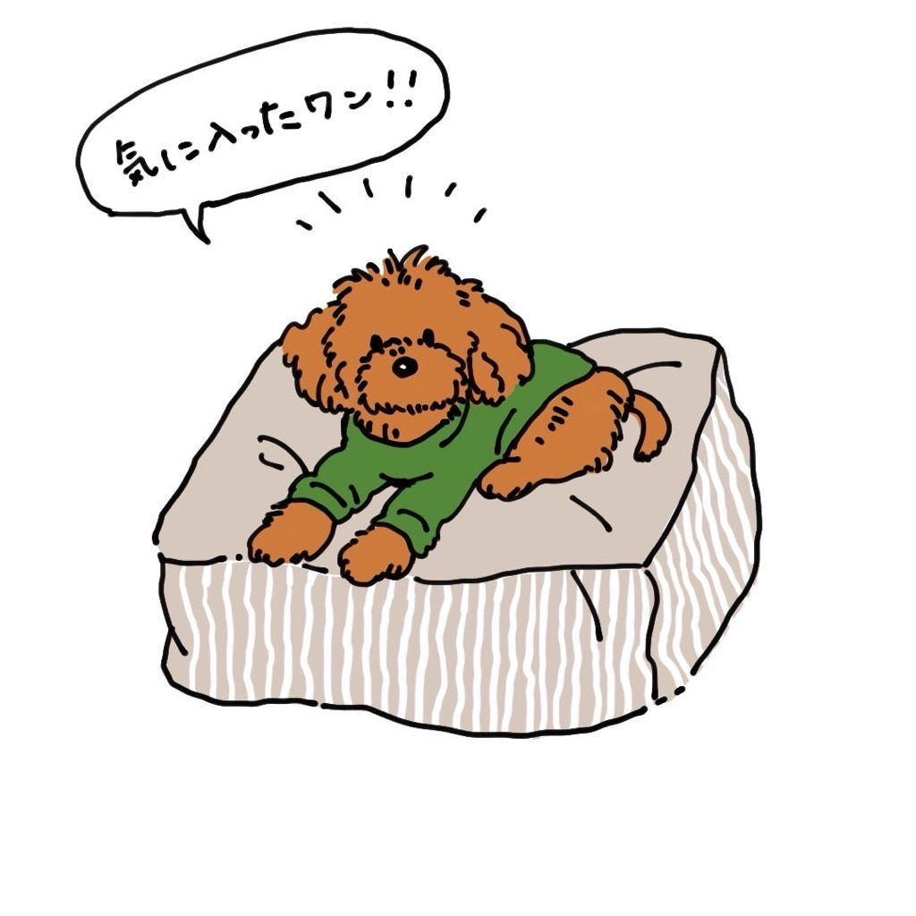 スタッフ