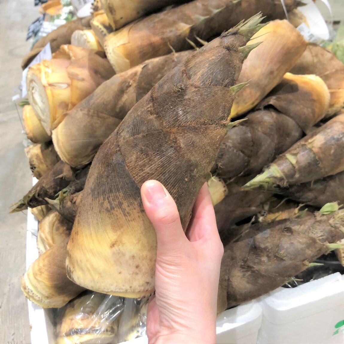 【堺北花田】林田商店さんの市場まつり開催中｜うまいもん市