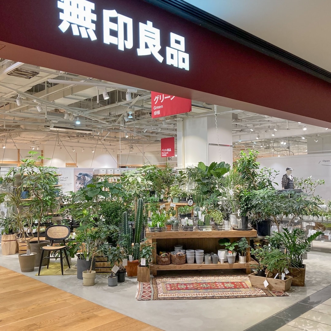 【グランフロント大阪】はじめての方にもおすすめ サボテンと多肉植物_2rg9eC