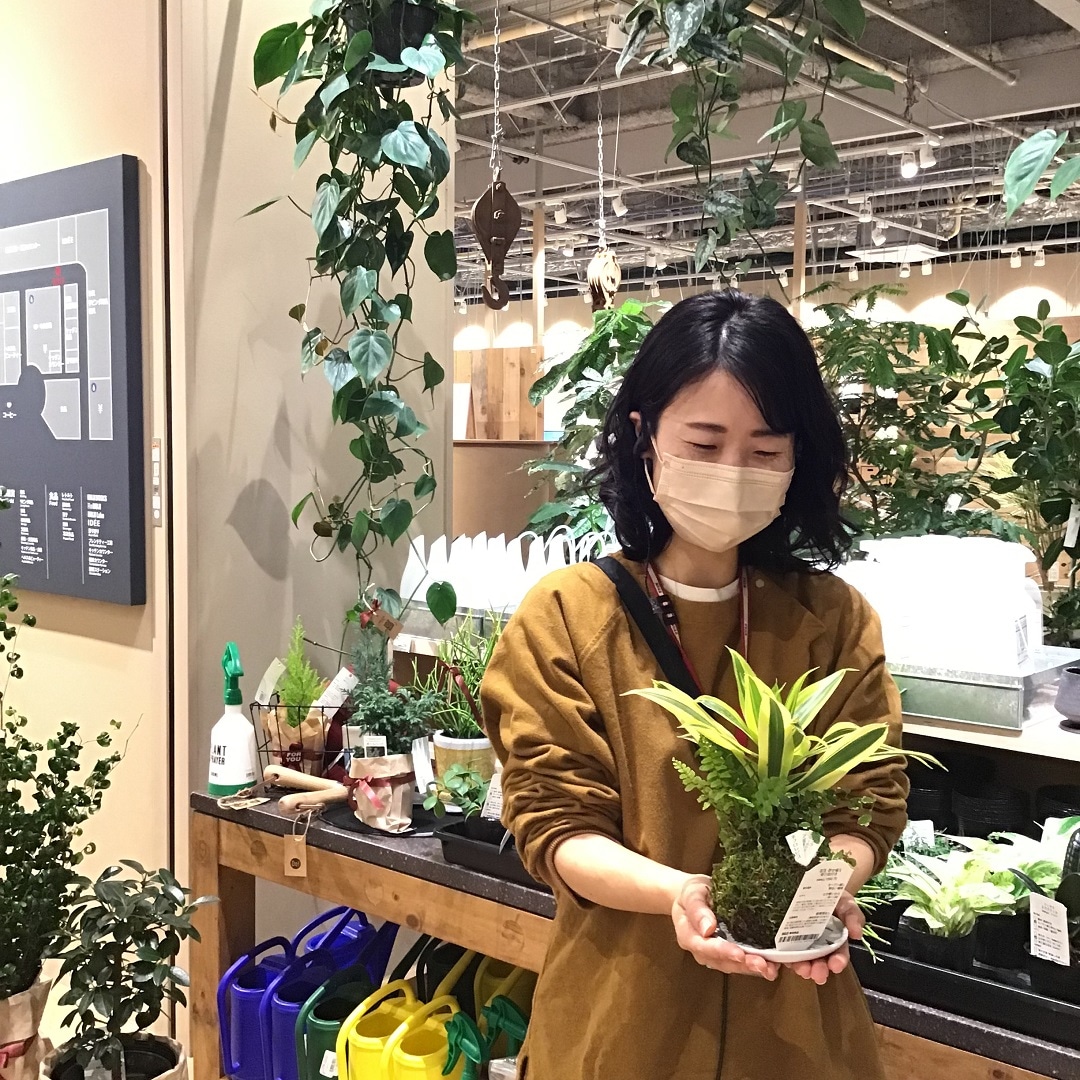 【春日井】可愛いフォルムの寄せ植え苔玉