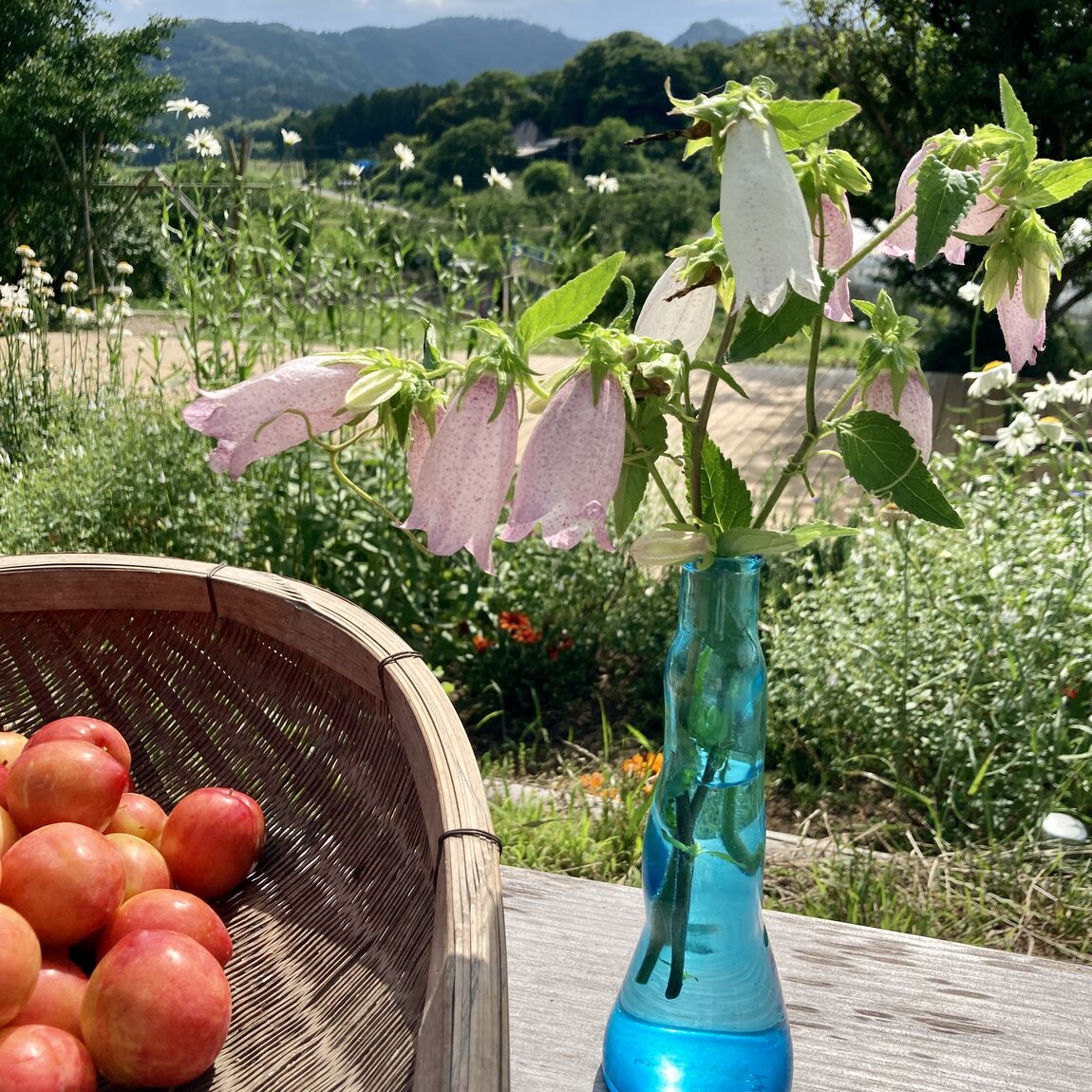 【みんなみの里】早口言葉でおなじみの