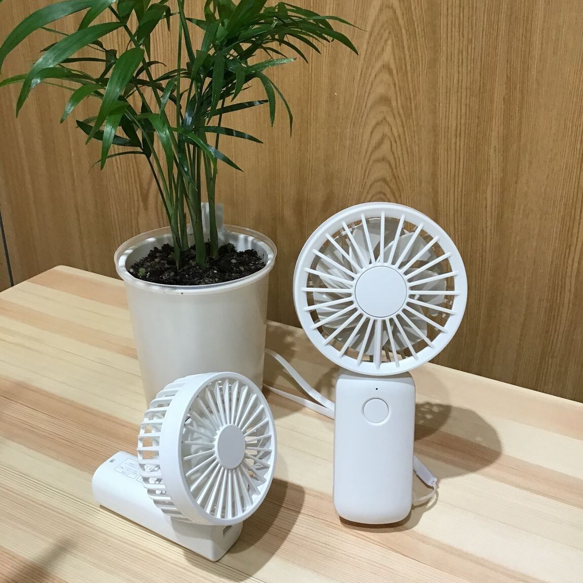 ハンディファン２種