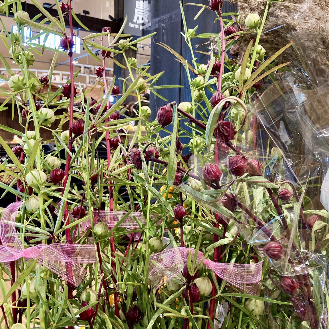 【みんなみの里】キツネの顔