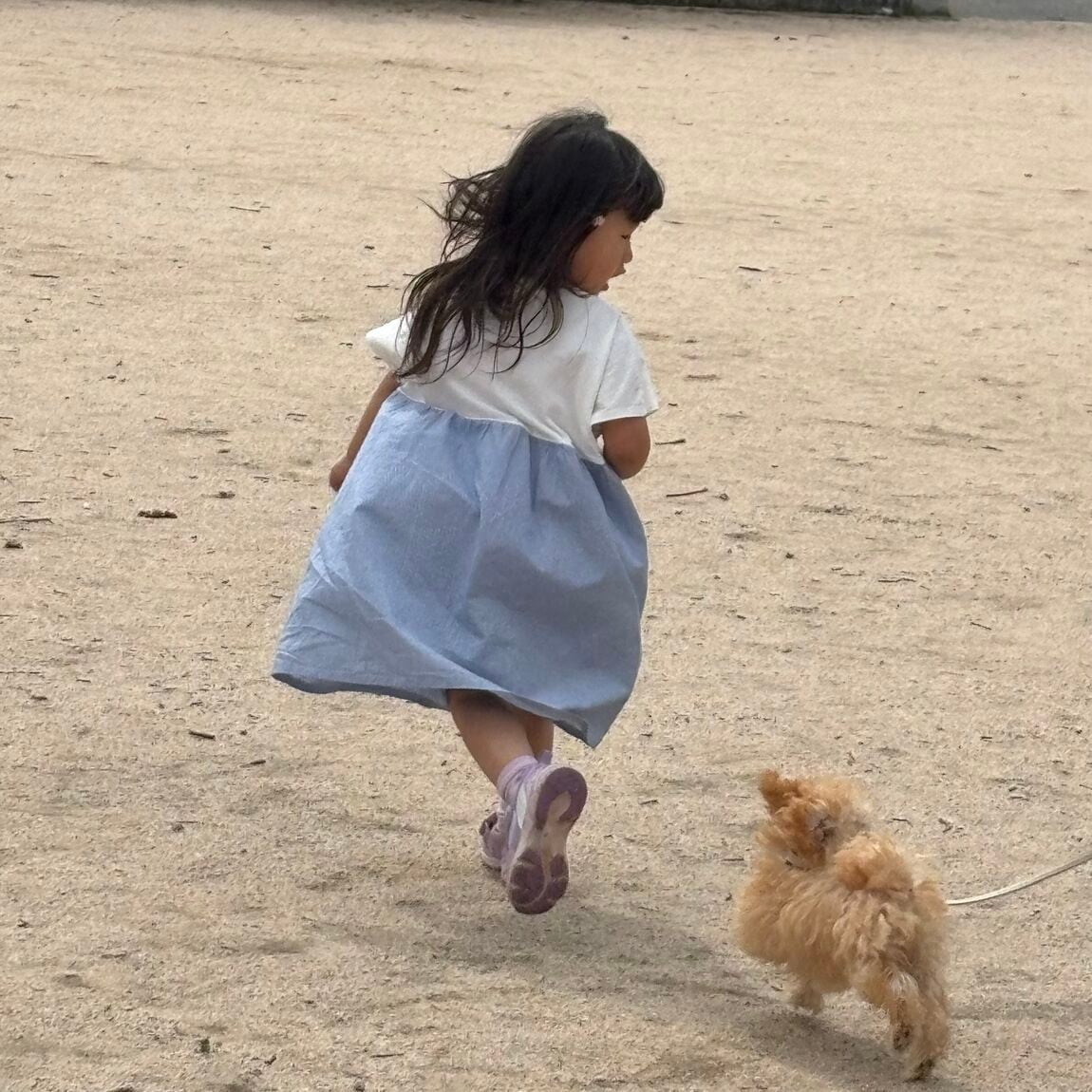 子どもの写真