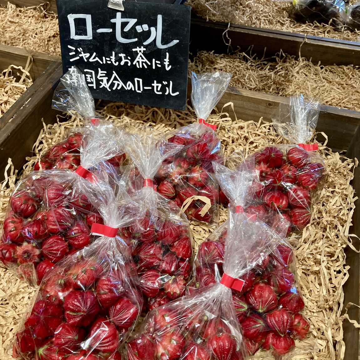 【みんなみの里】キツネの顔