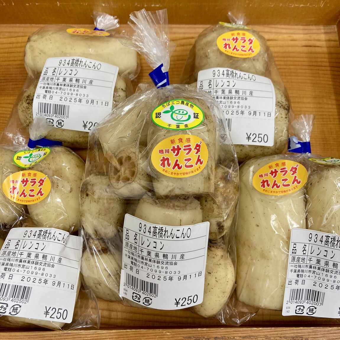 【みんなみの里】レンコンはいかが