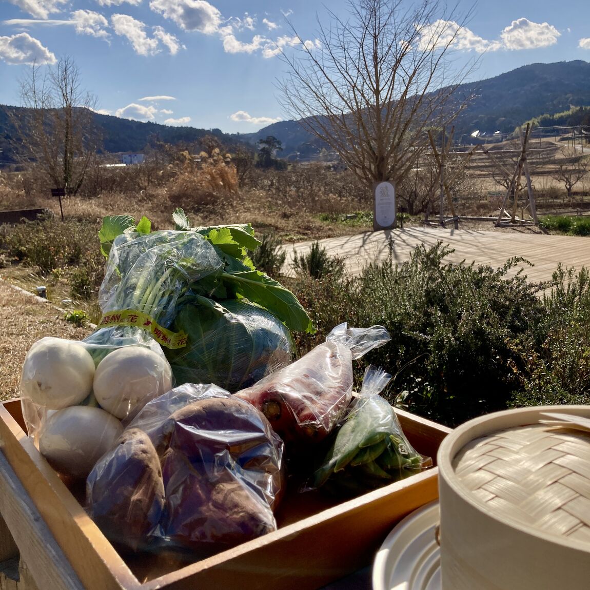 【みんなみの里】蒸篭で野菜はいかが