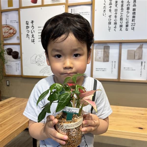 男の子