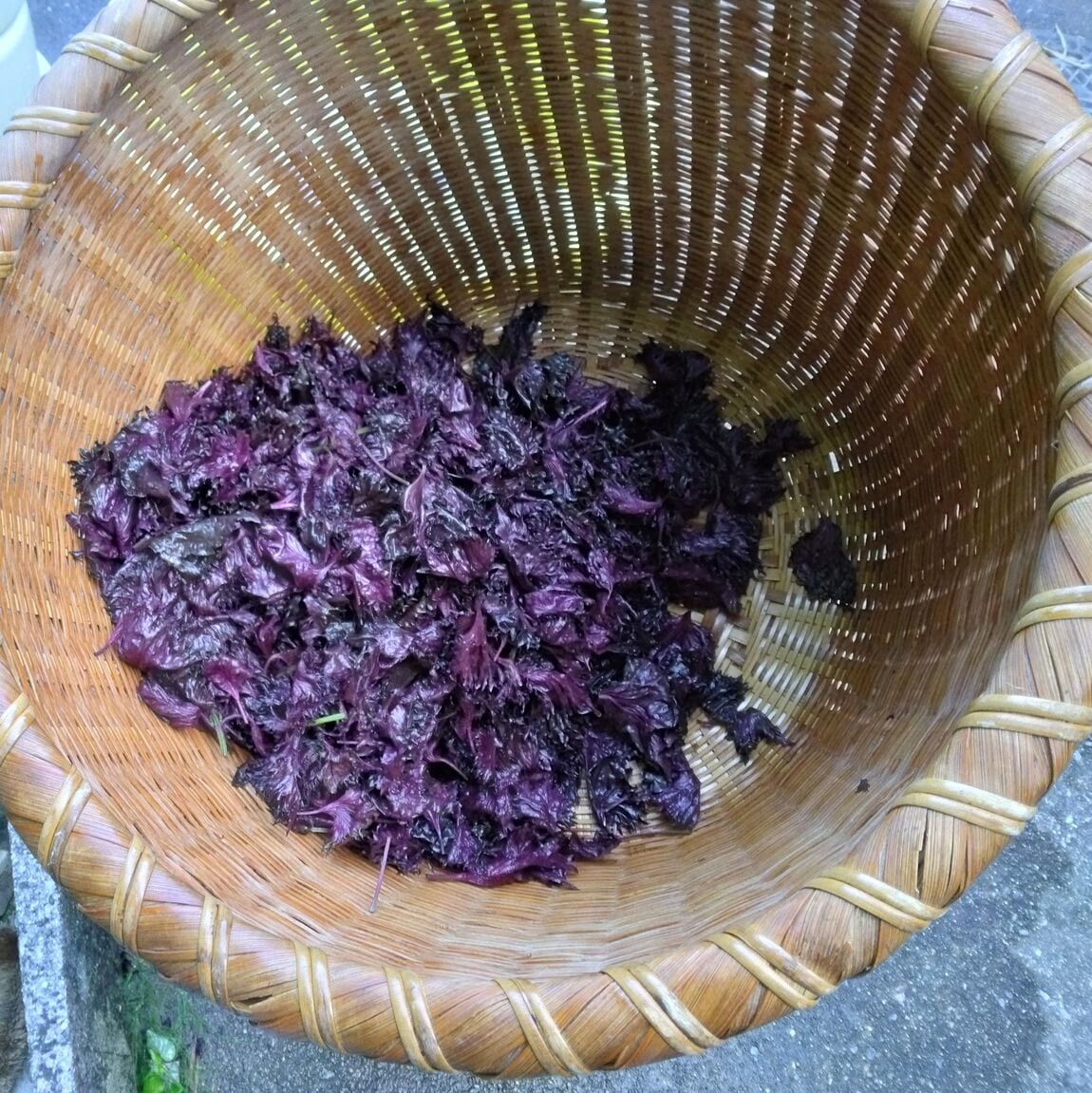 【みんなみの里】赤紫蘇漬け