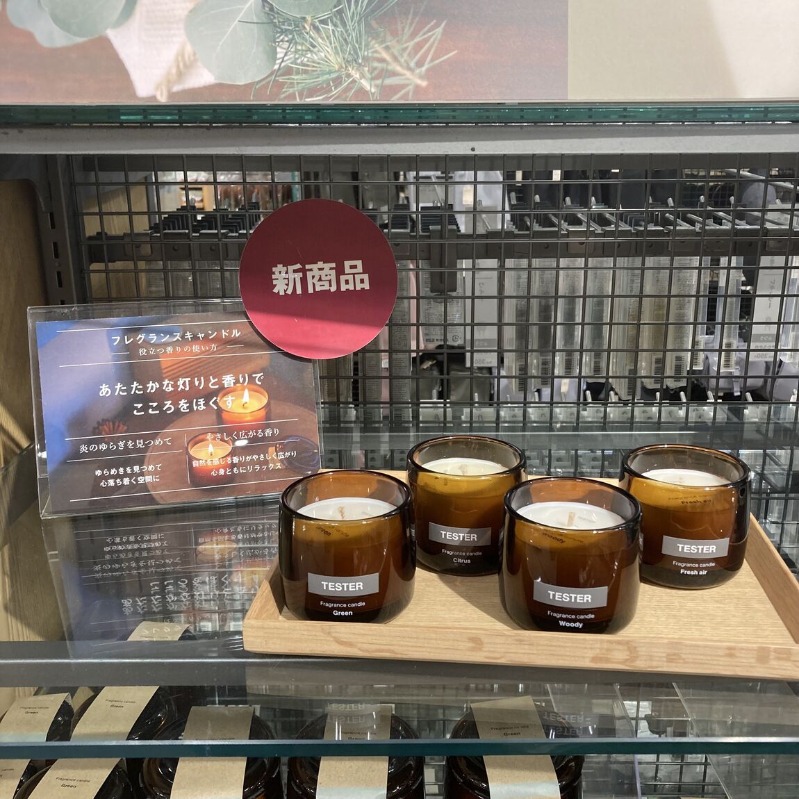 スタッフのおすすめ