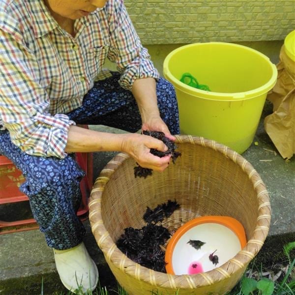 【みんなみの里】赤紫蘇漬け