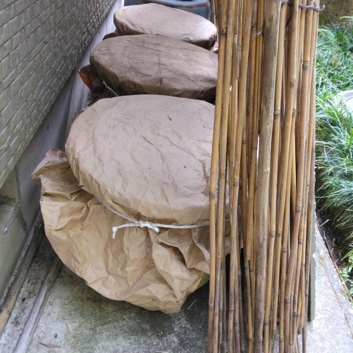 【みんなみの里】赤紫蘇漬け