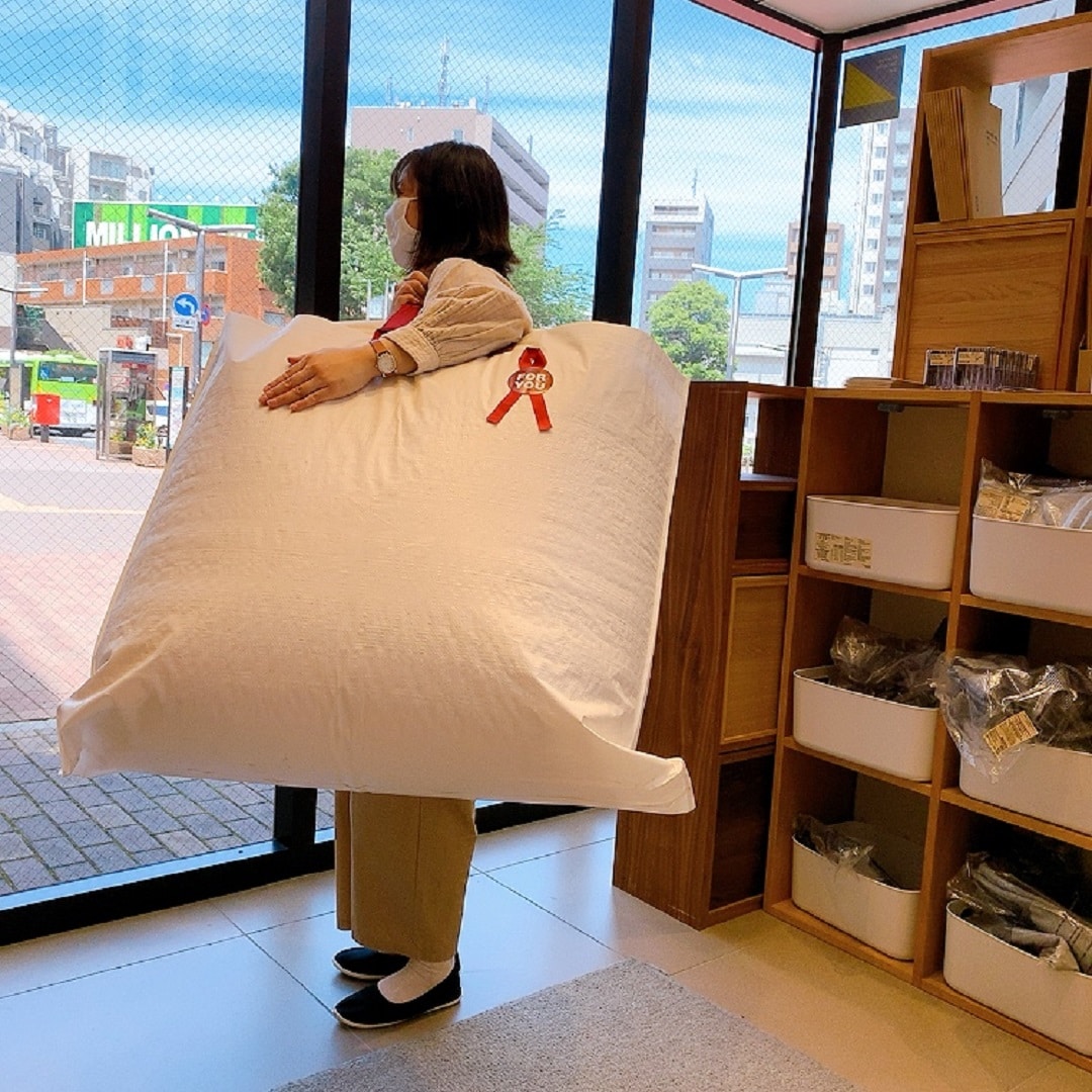 フィット