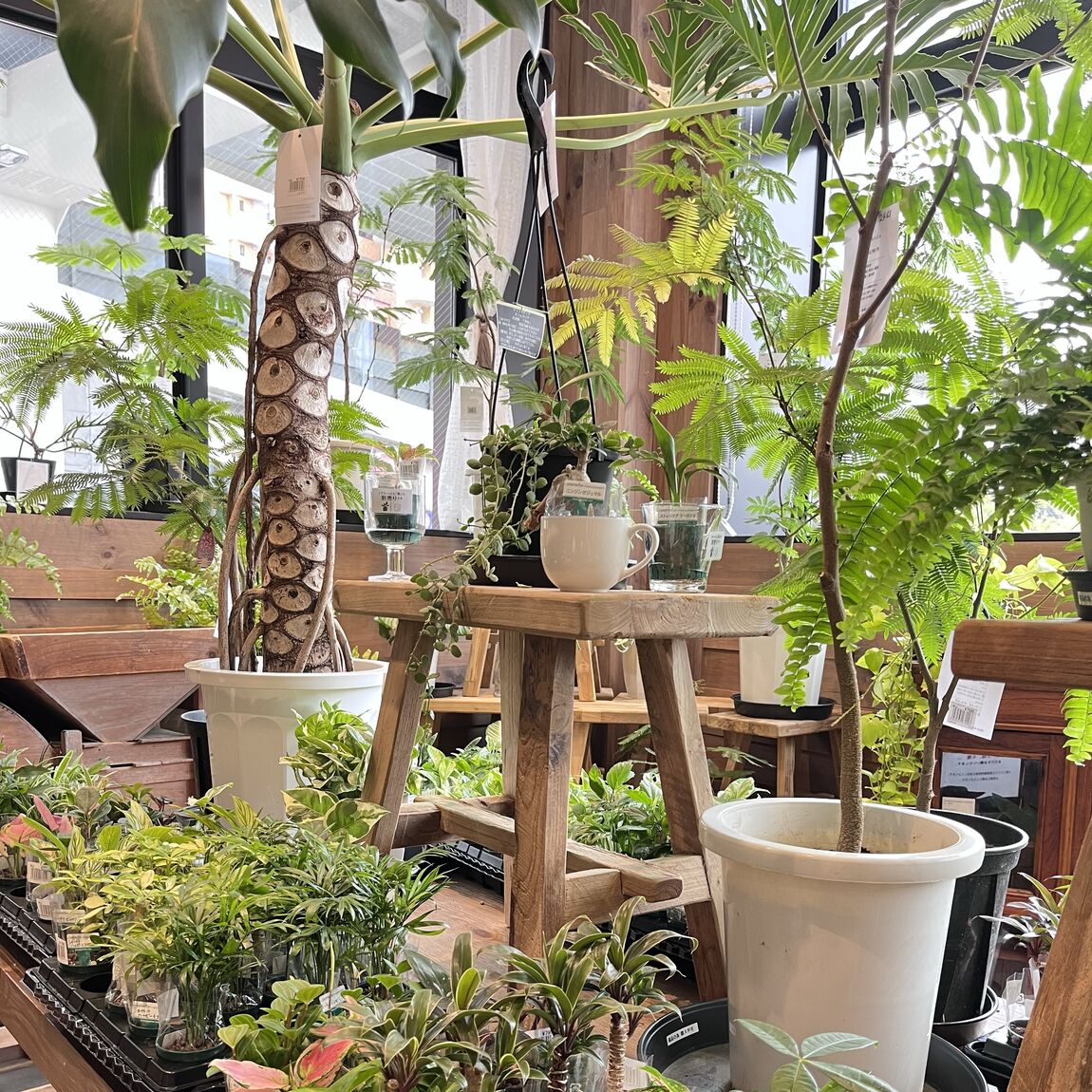 売場