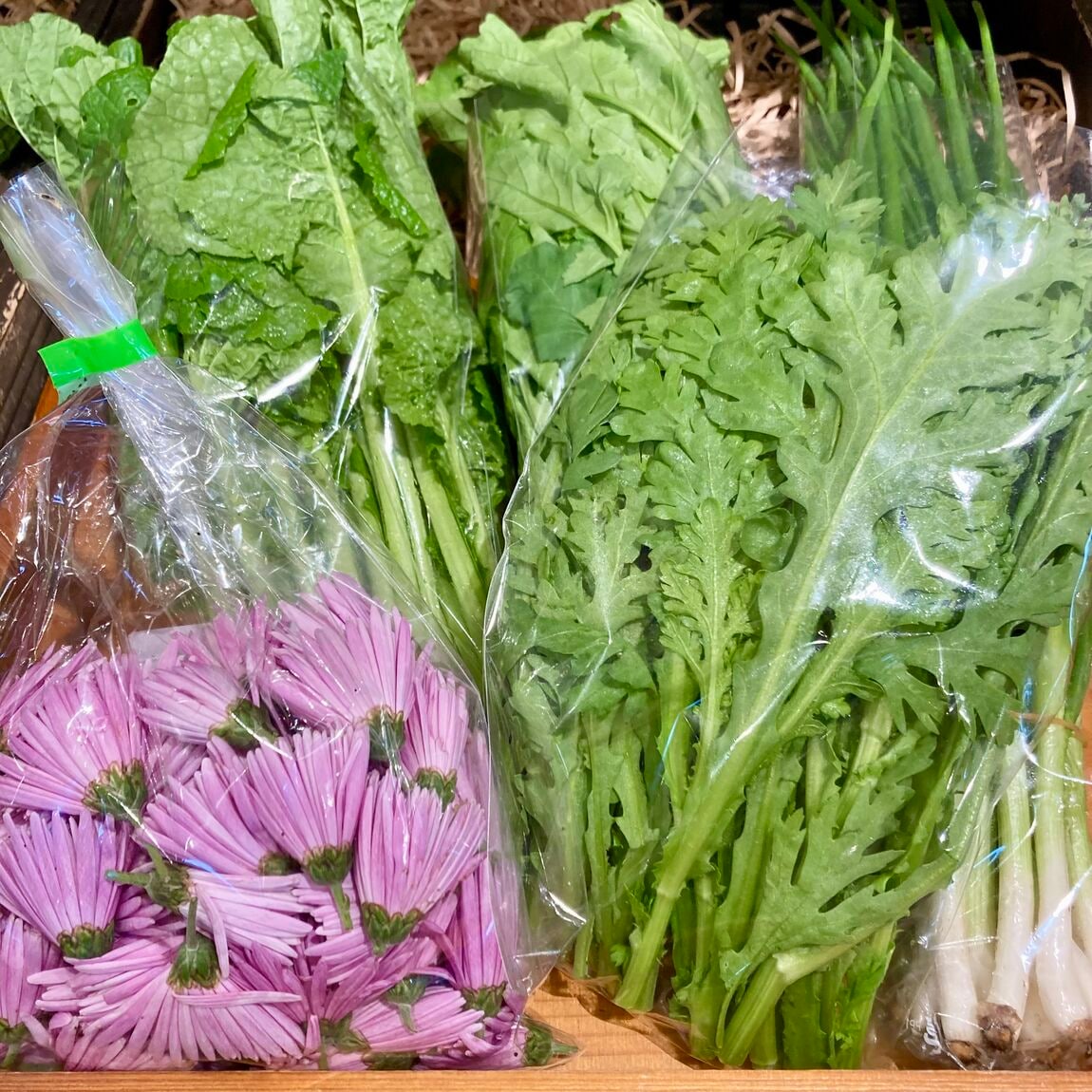 【みんなみの里】冬のはじまり