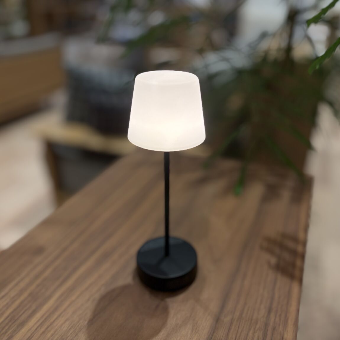 【精華台】新商品 インテリアライトのご紹介_JqZtO5