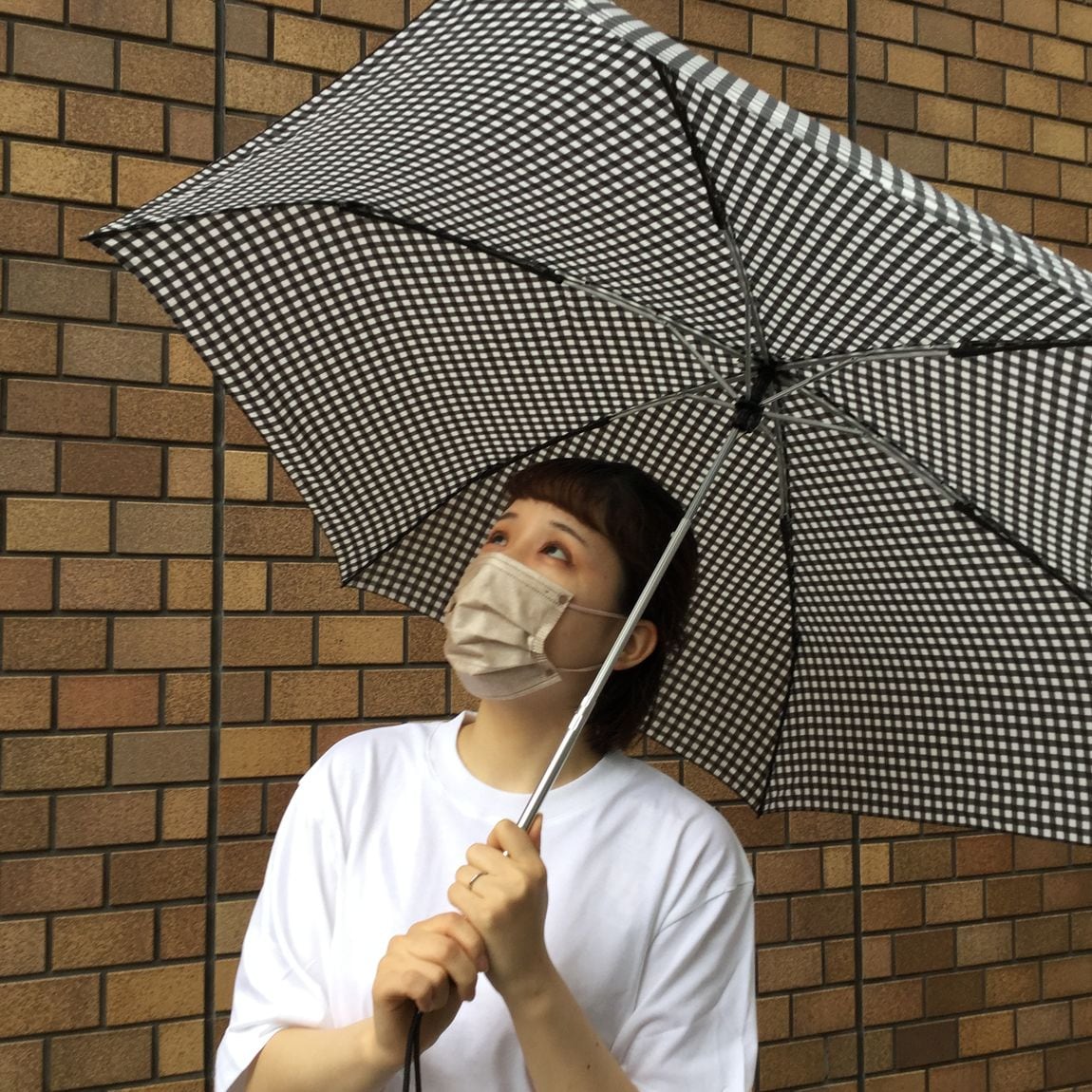 かさ