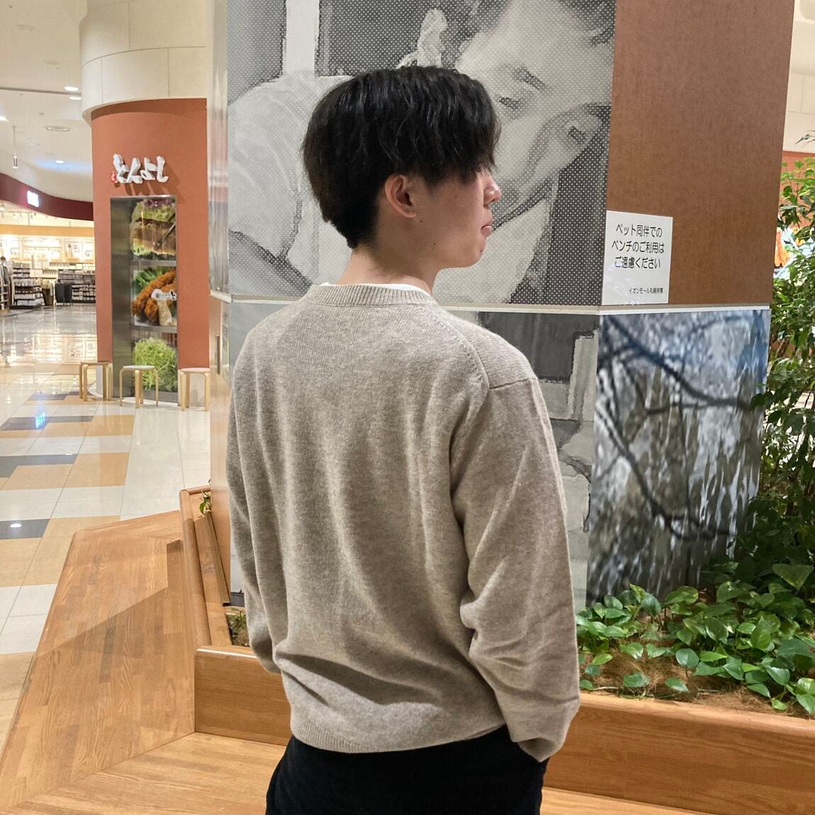 挿入写真